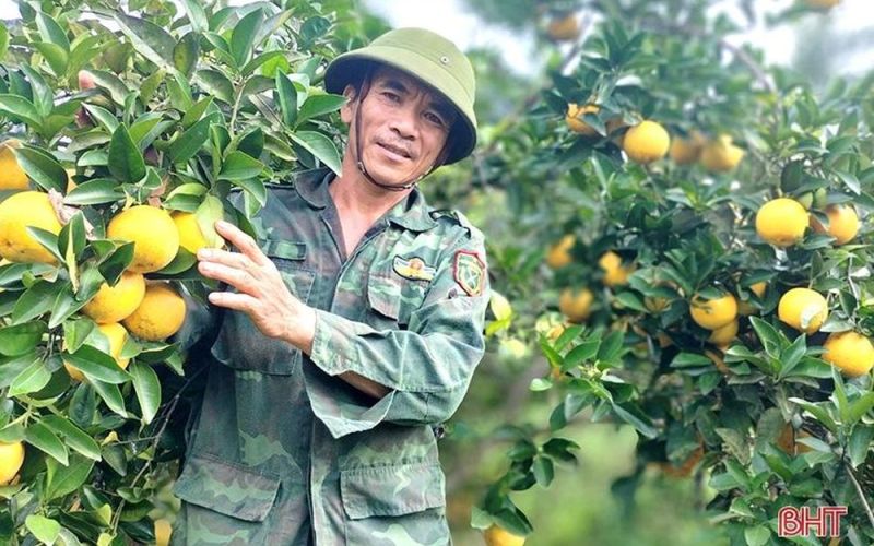 Nông nghiệp Hà Tĩnh trên hành trình tăng trưởng xanh