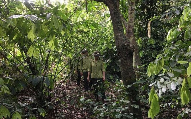 Phê duyệt danh mục đa dạng sinh học rừng đặc dụng Tà Xùa, Sơn La