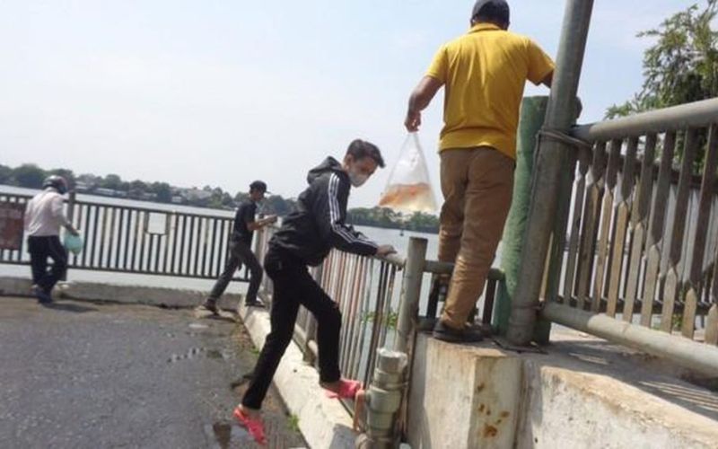 Phóng sinh hại cá, hại môi trường