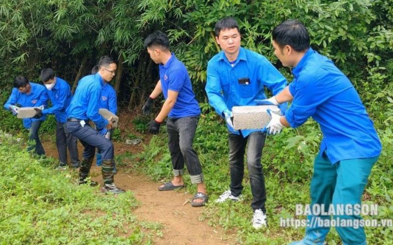 Phong trào 'Sinh viên 5 tốt': Tạo môi trường rèn luyện tuổi trẻ trưởng thành