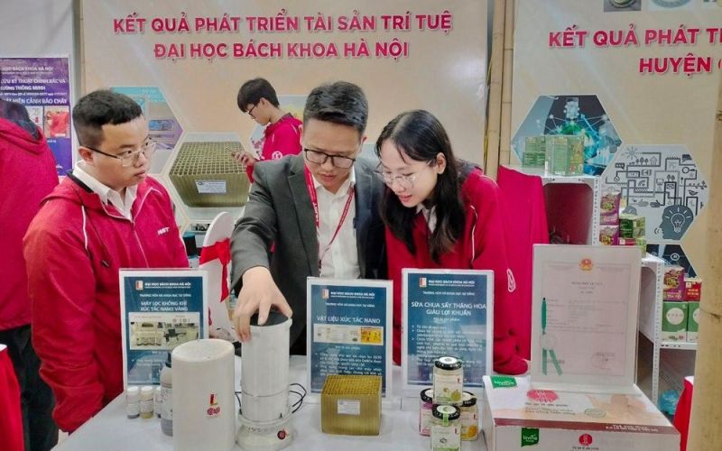 Quản lý phát triển tài sản trí tuệ tại trường đại học