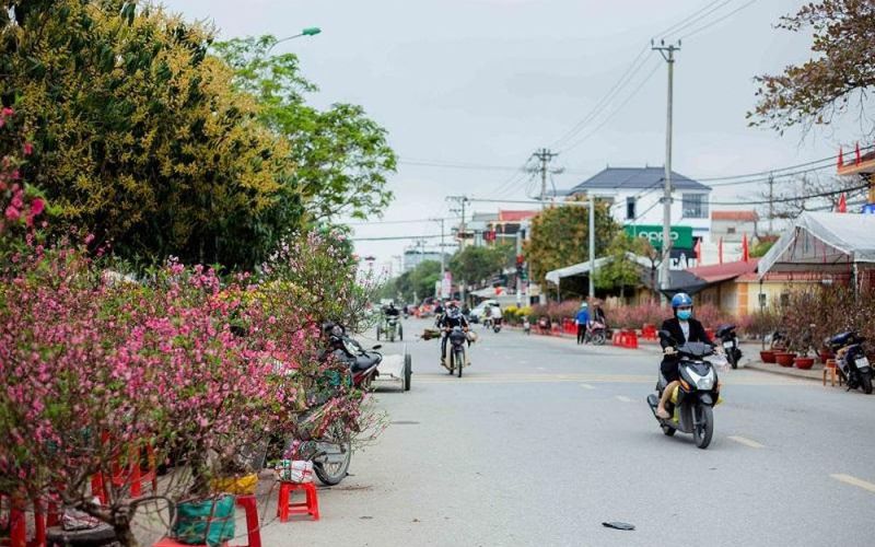 Quảng Bình: Chợ hoa Tết tấp nập những ngày cuối năm