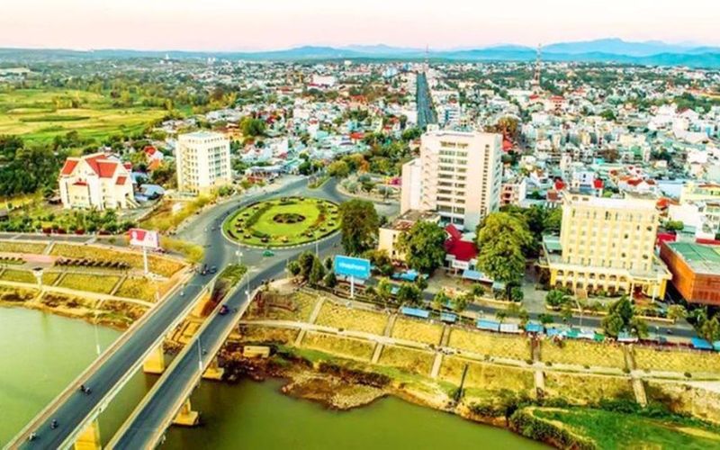 Quy hoạch Kon Tum thành trung tâm dược liệu cả nước, đặc biệt là sâm Ngọc Linh