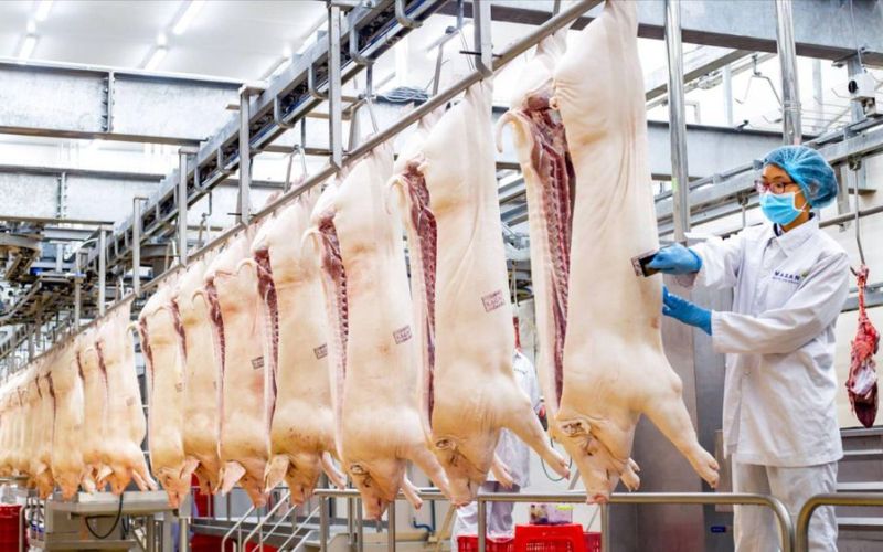 Tăng chế biến sâu để có thực phẩm sạch - tươi - ngon