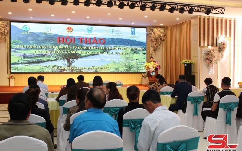 Tăng cường quản lý sử dụng tiền dịch vụ môi trường rừng