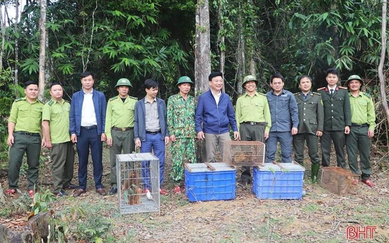 Thả 41 động vật hoang dã về môi trường tự nhiên