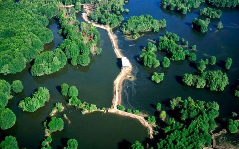 Thành phố Hồ Chí Minh tập trung nguồn lực đầu tư phát triển kinh tế xanh