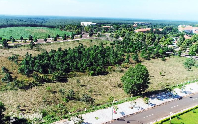 Thị trường đất nông nghiệp ra sao?