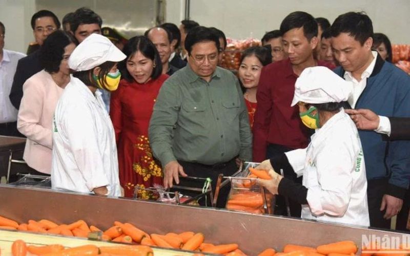 Tích cực ứng dụng chuyển đổi số để phát triển nông nghiệp xanh, hiện đại, gia tăng giá trị nông sản