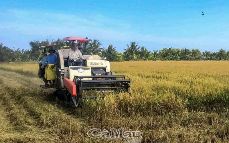 Tích hợp đa giá trị, tăng hàm lượng khoa học