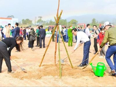 Toyota Việt Nam đồng hành cùng 'Tết trồng cây' 2024