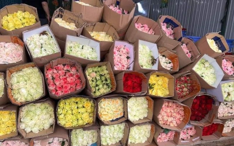 TP Hồ Chí Minh: Hoa hồng rớt giá trước ngày Lễ tình nhân 14/2