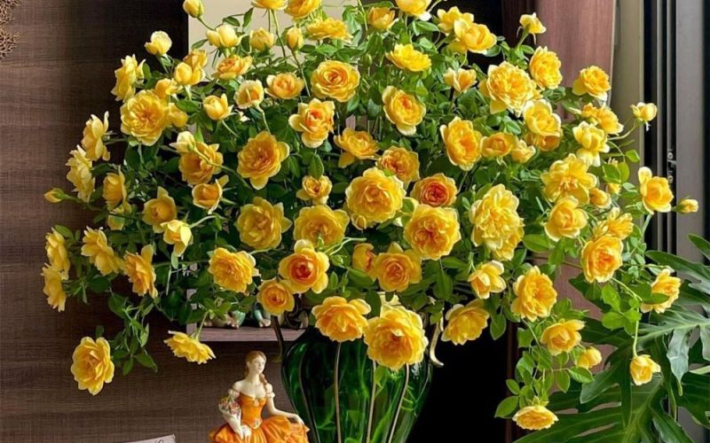 Tử vi hàng ngày - Thứ Ba 20/2/2024 của 12 cung hoàng đạo