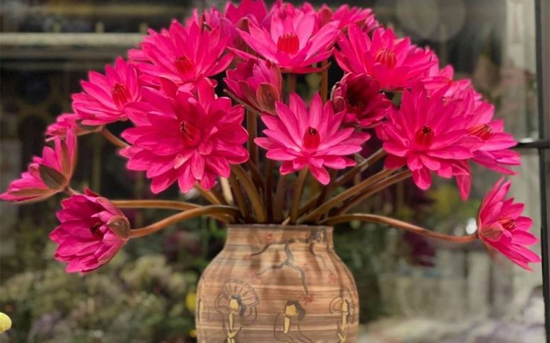 Tử vi hàng ngày - Thứ Tư 21/2/2024 của 12 cung hoàng đạo