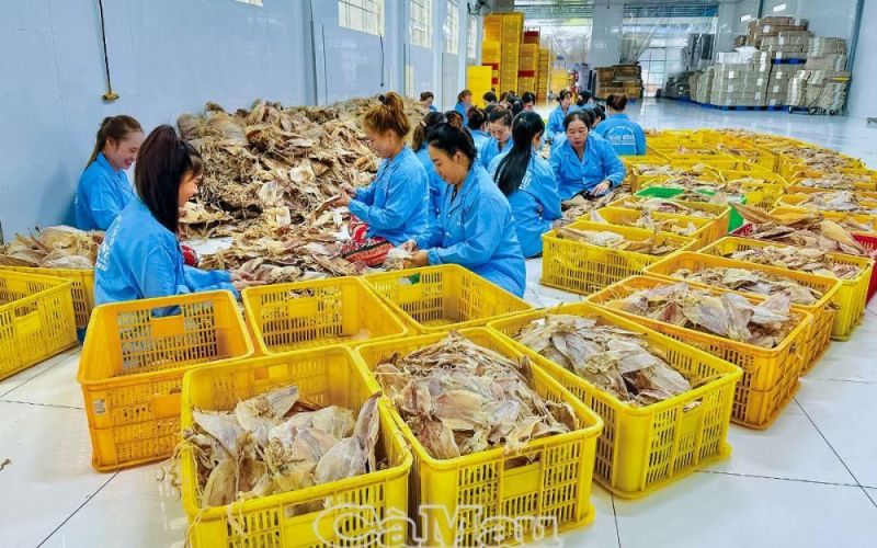 Ðưa thương mại điện tử đến gần doanh nghiệp