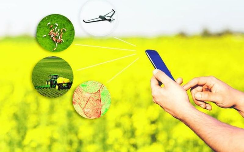 Ứng dụng AI: Doanh nghiệp gặp khó từ mô hình kinh doanh