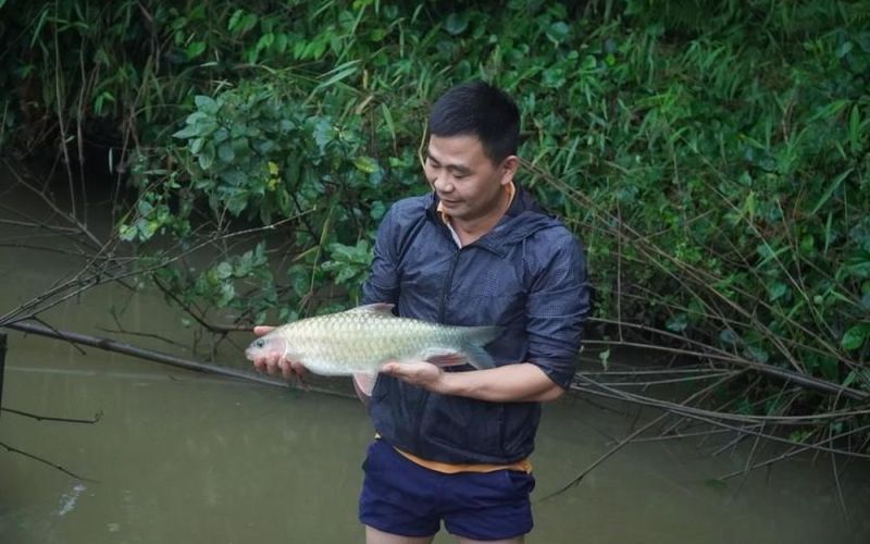 Về miền đá núi thưởng thức đặc sản