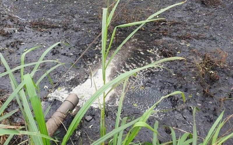 Vi phạm xả thải ra môi trường, một doanh nghiệp ở Quảng Trị bị phạt 288 triệu đồng