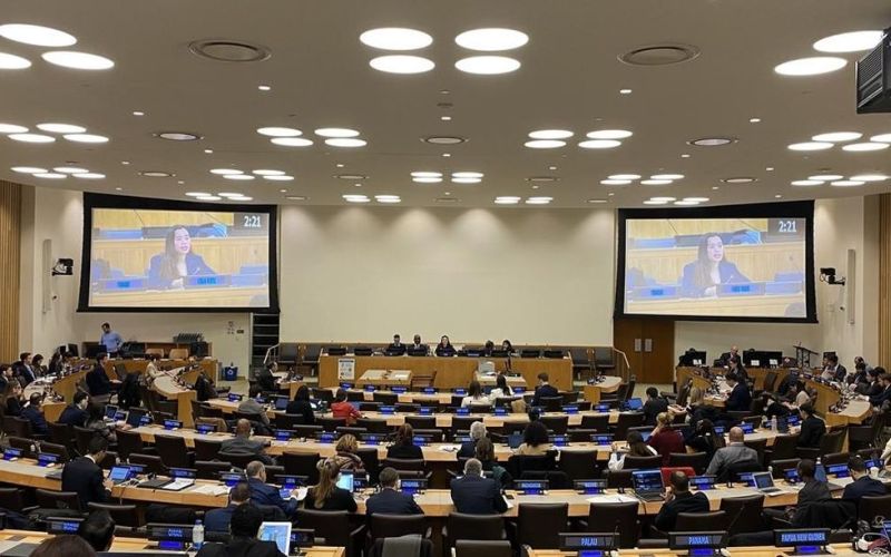 Việt Nam cam kết thực hiện hiệu quả việc ngăn chặn, chống và xóa bỏ mua bán trái phép súng nhỏ và vũ khí nhẹ