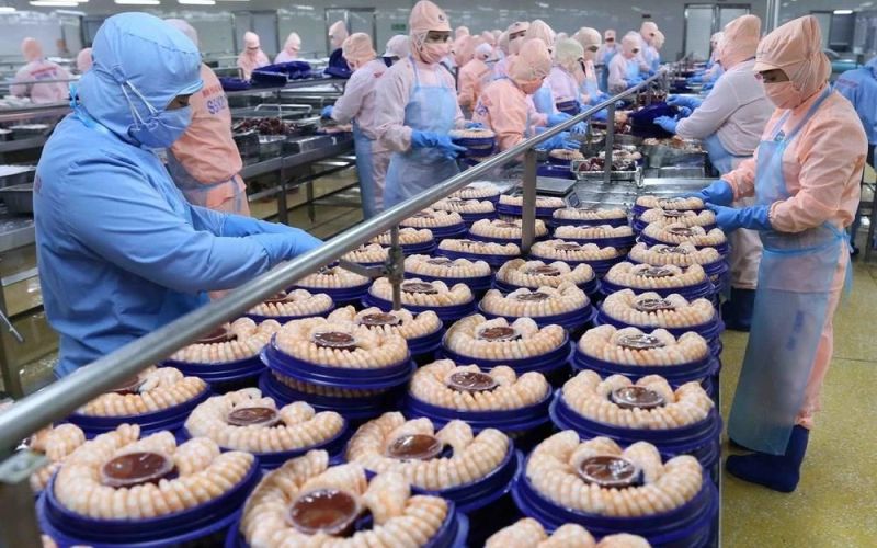 Việt Nam cung cấp tôm lớn thứ hai thế giới, xuất khẩu tới 100 quốc gia