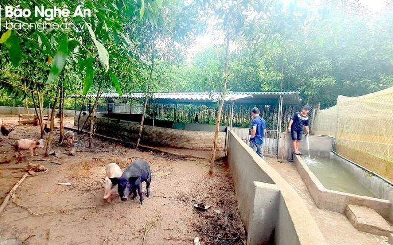 Xây dựng điểm du lịch cộng đồng tự cung, tự cấp thực phẩm sạch