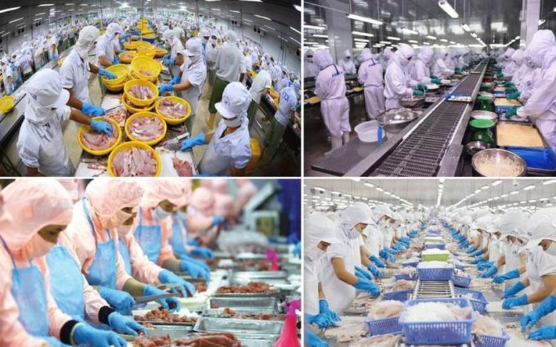 Xuất khẩu thủy sản sang Trung Quốc tăng gấp 3 lần trong tháng đầu năm